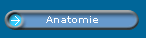Anatomie